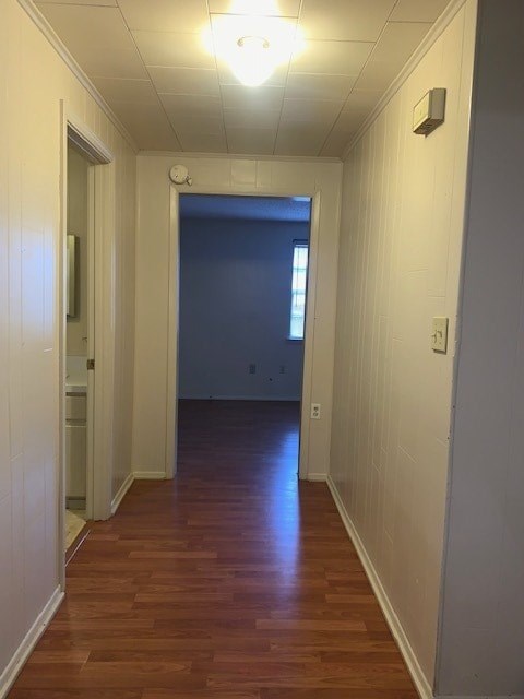 133 Patton Street 3 Beds Apartment for Rent