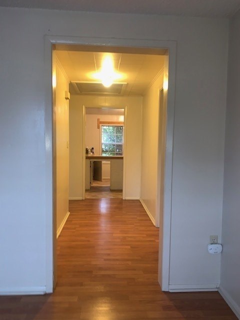 133 Patton Street 3 Beds Apartment for Rent