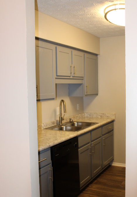 A kitchen with a sink and cabinets.