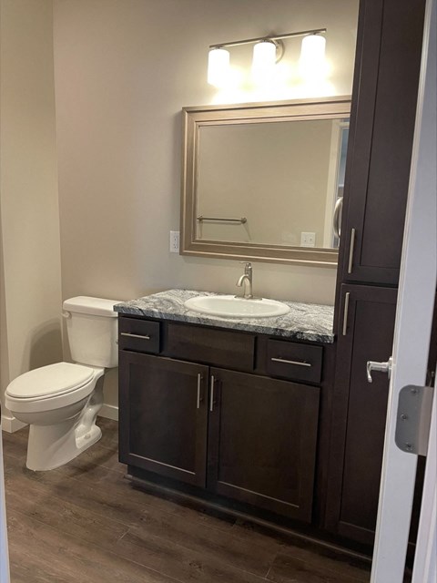 a bathroom with a toilet and a sink and a mirror