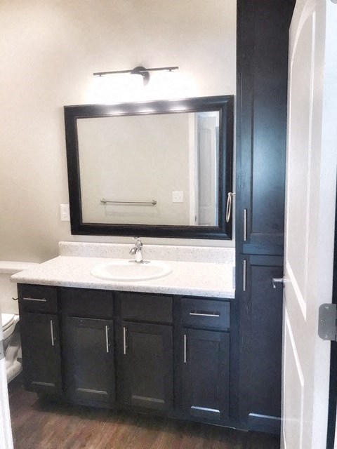 a bathroom with a sink and a mirror