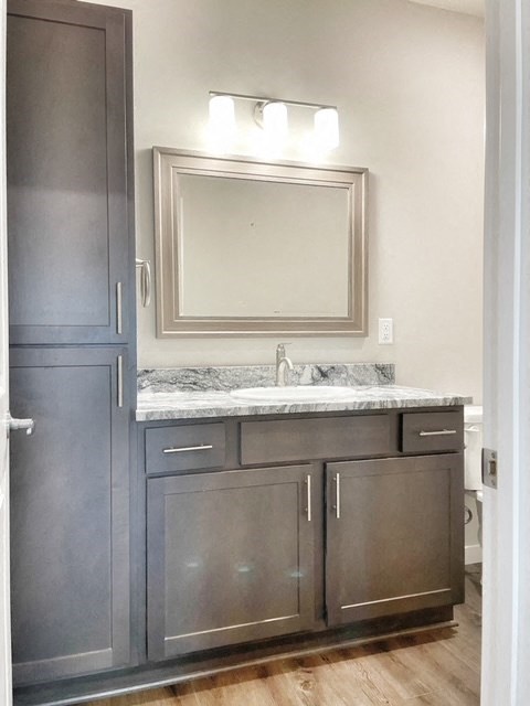 a bathroom with a sink and a mirror