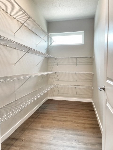 a walk in closet with empty shelves and a window