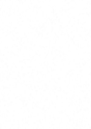 Allusion - S2