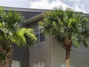 Apartments For Rent Near The Chase Academy Daytona Beach Fl Rentcafe