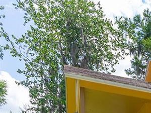 Map And Directions To Lake Forest Apartments In Daytona Beach Fl