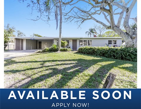 a white house with a yard and a tree