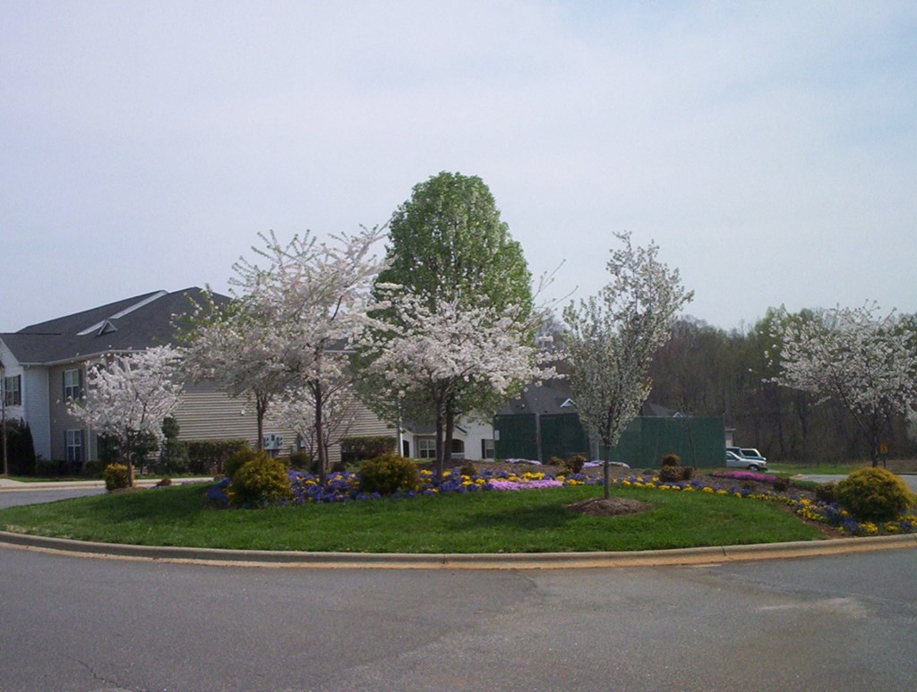 a roundabout with trees and flowers in front of a house