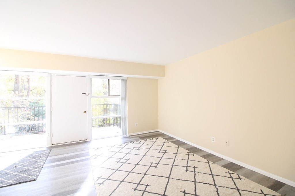 an empty living room with a door and a rug