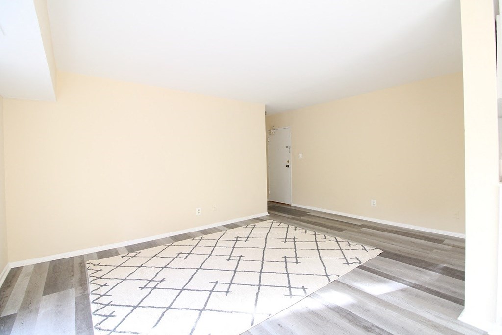 an empty room with a rug in the middle of it