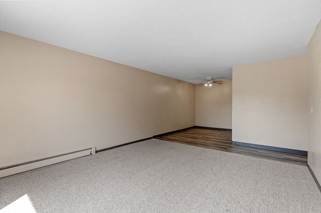A room with a carpeted floor and a wooden floor in the corner.