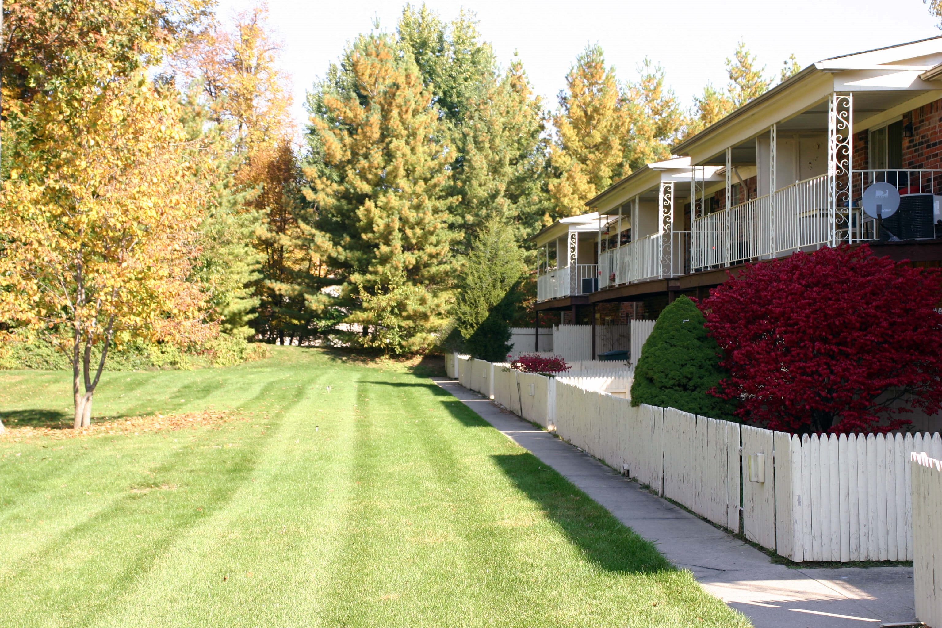 a yard in front of a house with a lawn and trees