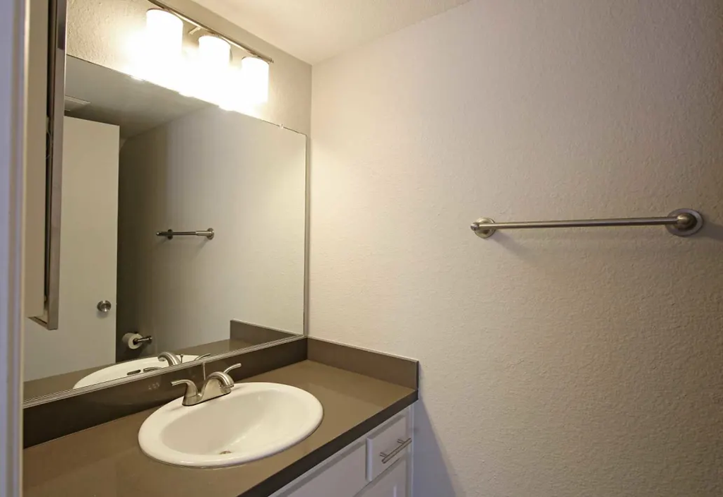 a bathroom with a sink and a mirror