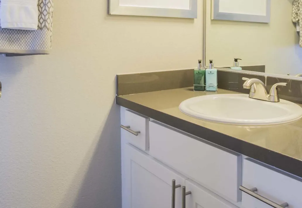 a bathroom with a sink and a mirror