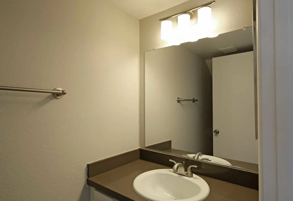 a bathroom with a sink and a mirror