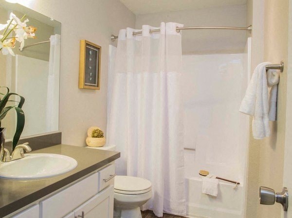 a bathroom with a shower and a sink and a toilet