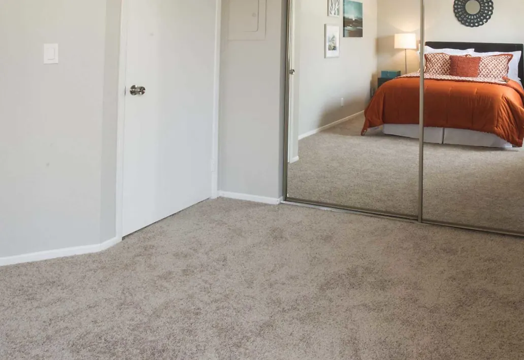 a bedroom with a large mirror and a carpeted floor