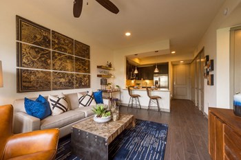 905 Town & Country Blvd. 1-2 Beds Apartment for Rent - Photo Gallery 2