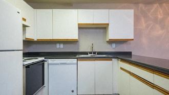 a kitchen with white cabinets and a dishwasher and a sink