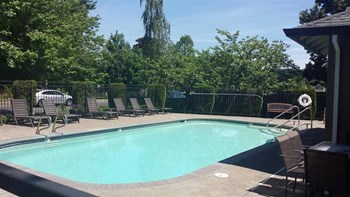 8376 SW Pfaffle 1-2 Beds Apartment for Rent - Photo Gallery 3