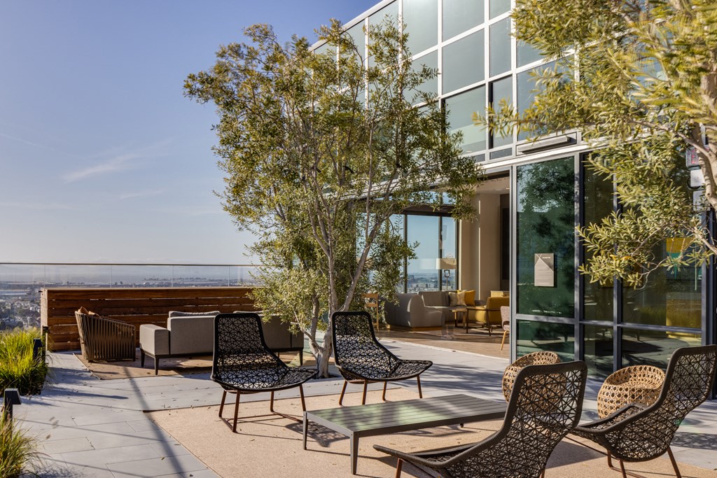 a patio with chairs and a tree in front of a glass building