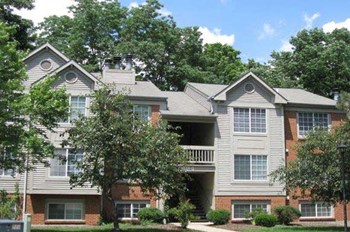 274 General Mitchel Lane 1-3 Beds Apartment for Rent - Photo Gallery 4