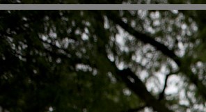 Pacific Gardens Apartments Apartments In Omaha Ne