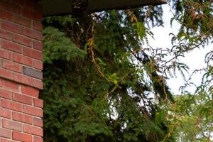 Beautiful grounds and courtyards - Photo Gallery 2