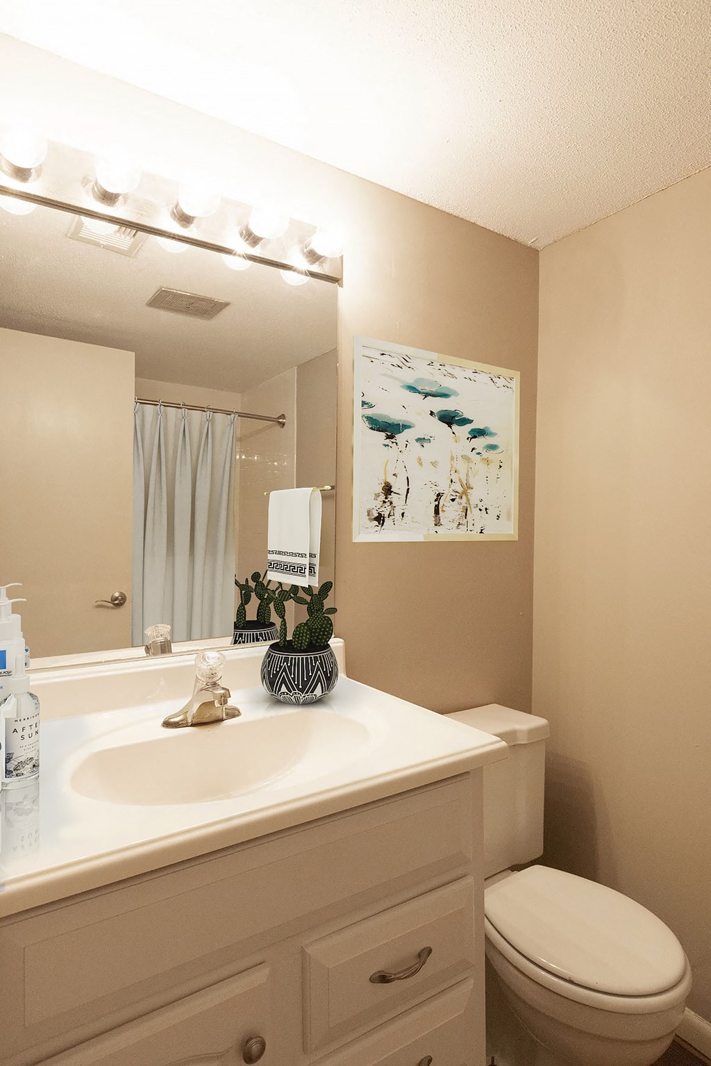 a bathroom with a sink and a toilet and a mirror