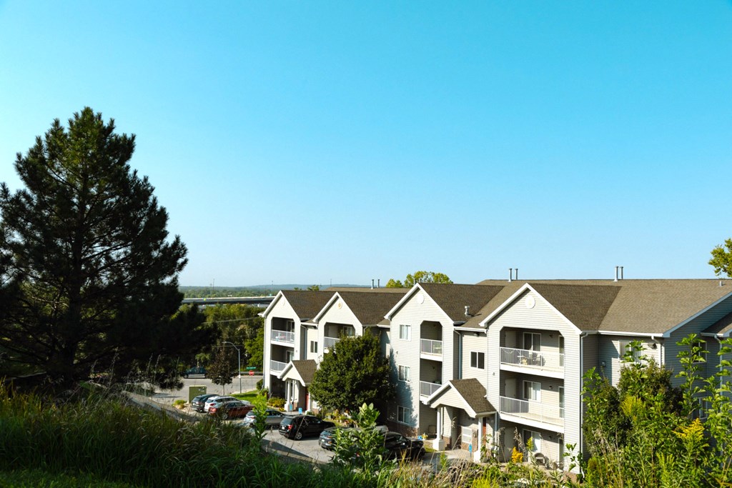 A large white building with a green tree in front of it.
