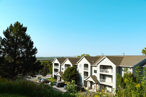 A large white building with a green tree in front of it.