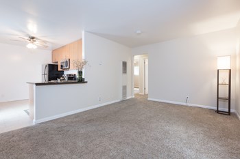 4040 Williams Road 1-3 Beds Apartment for Rent - Photo Gallery 2