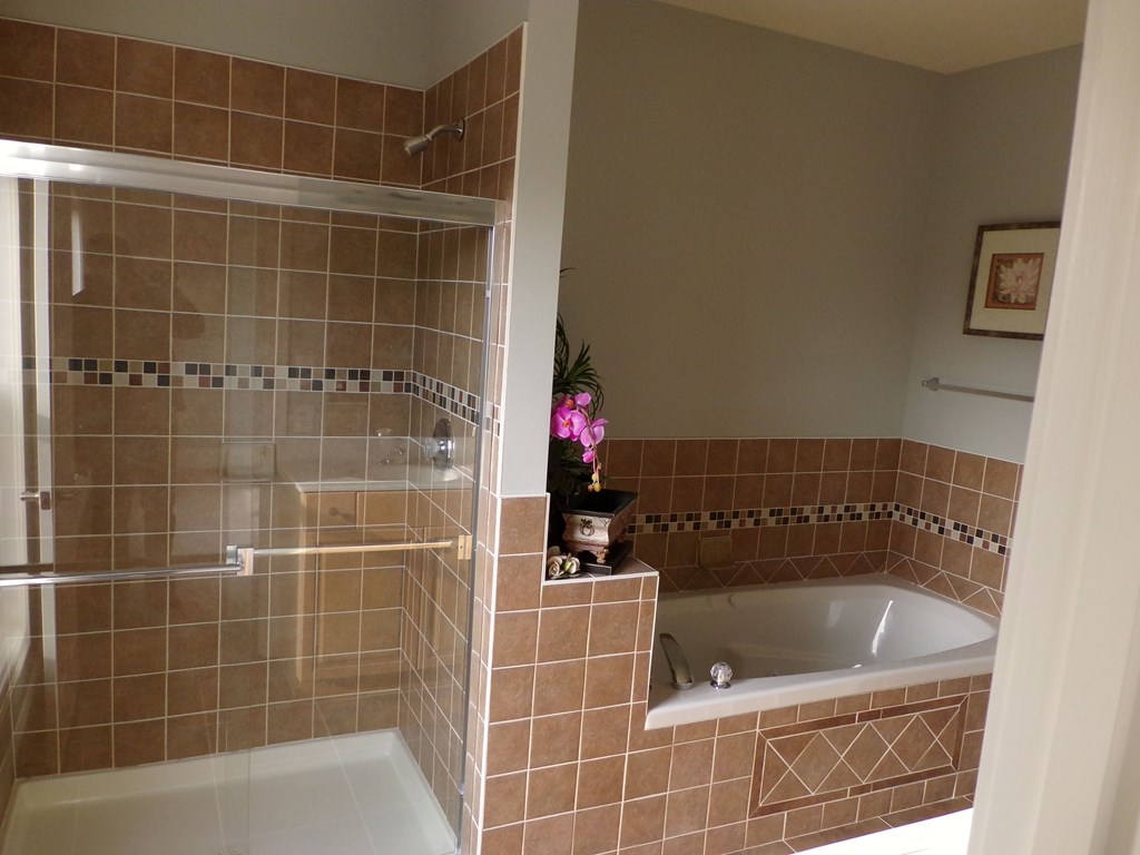 a bathroom with a tub and a shower