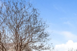 Houses For Rent In La Prada Garland Tx Rentcafe