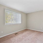 an empty bedroom with a window and a pink carpet