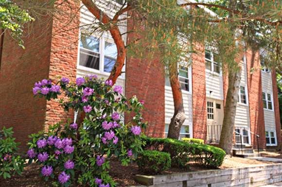 591 Willett Ave 1-2 Beds Apartment for Rent - Photo Gallery