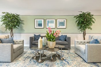 1 Justin Drive 1-2 Beds Apartment, Affordable for Rent - Photo Gallery 5