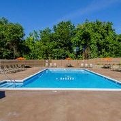 a swimming pool in a yard with trees in the background