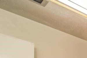 Garden Village Apartment Bathroom - Photo Gallery