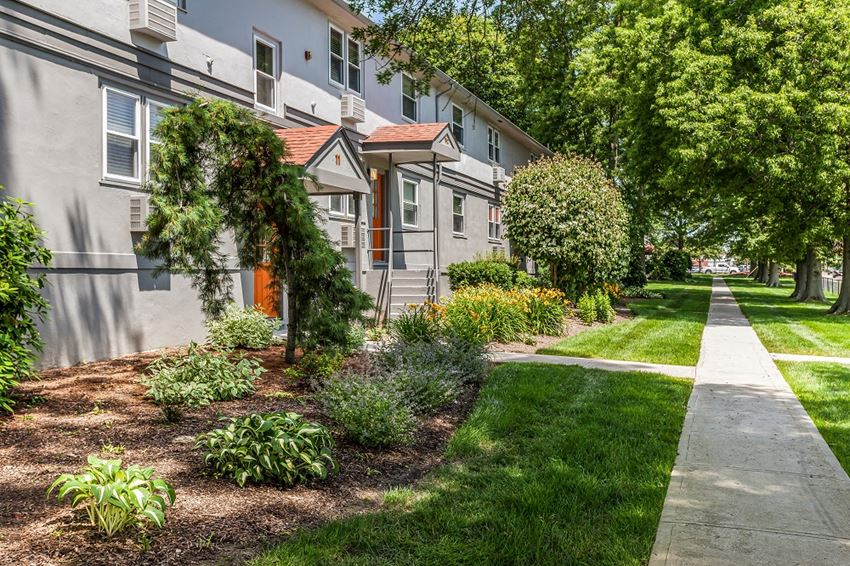 a sidewalk in front of a building with trees and bushes