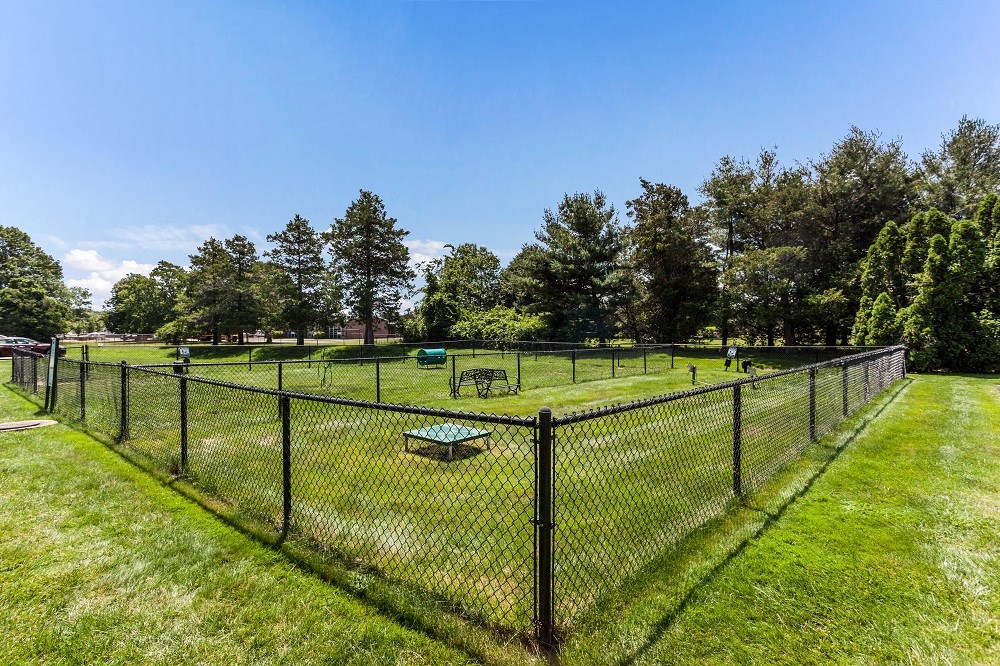 a chain link fence with a field behind it