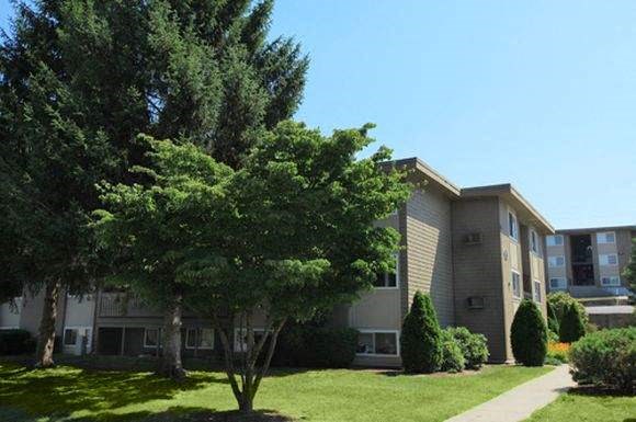 an apartment building with a tree in front of it