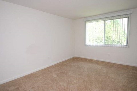 an empty room with a window and a carpet