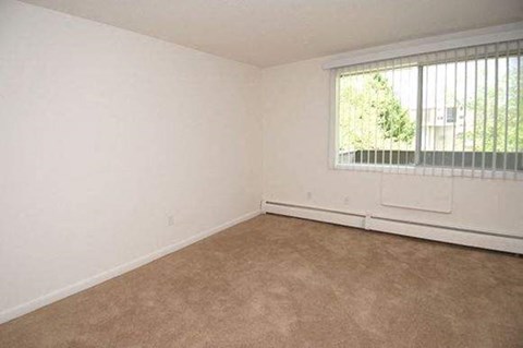 an empty room with a large window and a carpet
