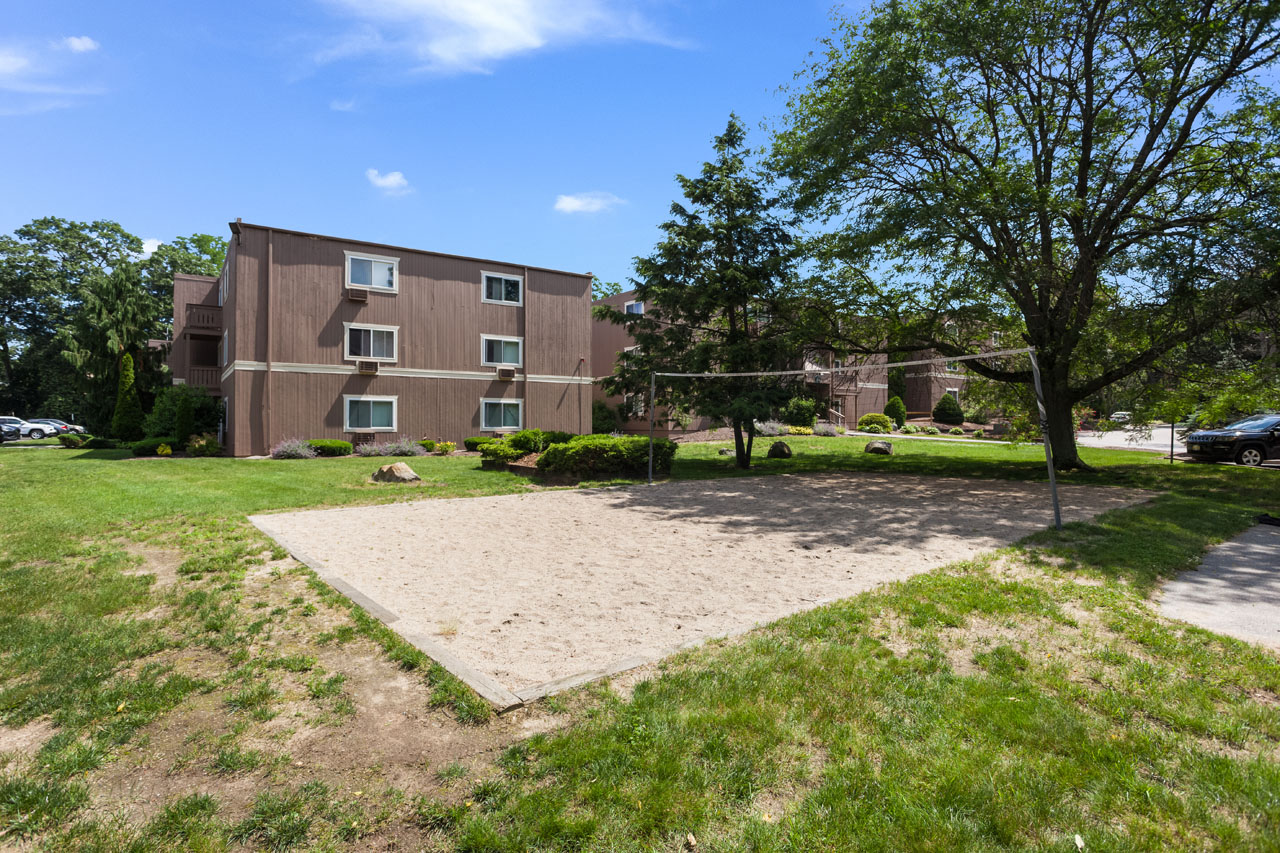 Volleyball Court