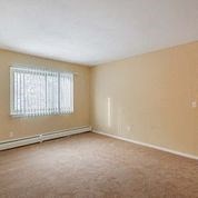 an empty bedroom with a window and a carpeted floor