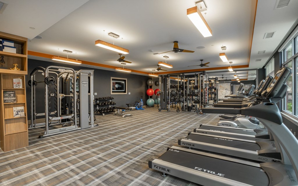 a gym with treadmills and weights on the floor and a wall of windows