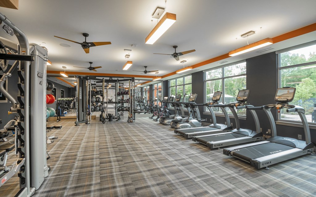 a gym with cardio equipment and large windows