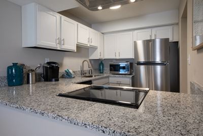 Sleek granite countertops and flat top stove with stainless steel appliances