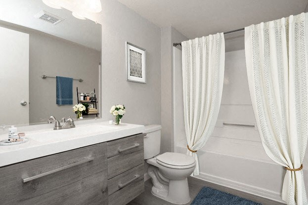 Bathroom vanity and shower